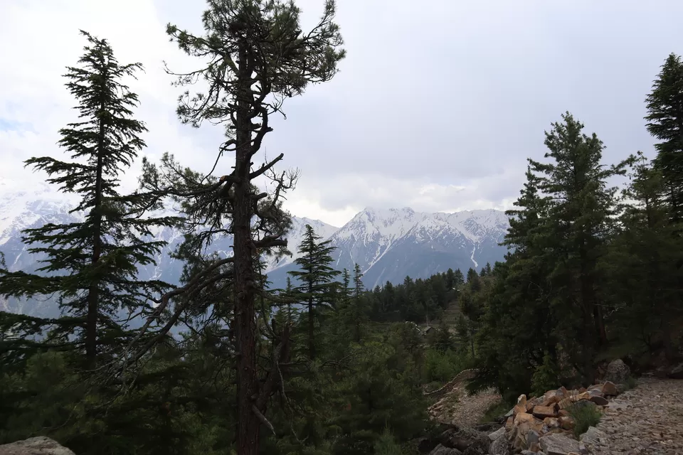 Photo of Kalpa, Himachal Pradesh, India by megha jaswal