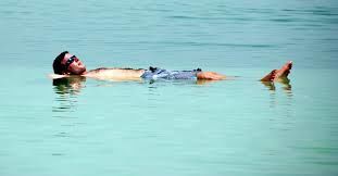 Photo of Dead Sea, Southern District, Israel by Terry Gardner
