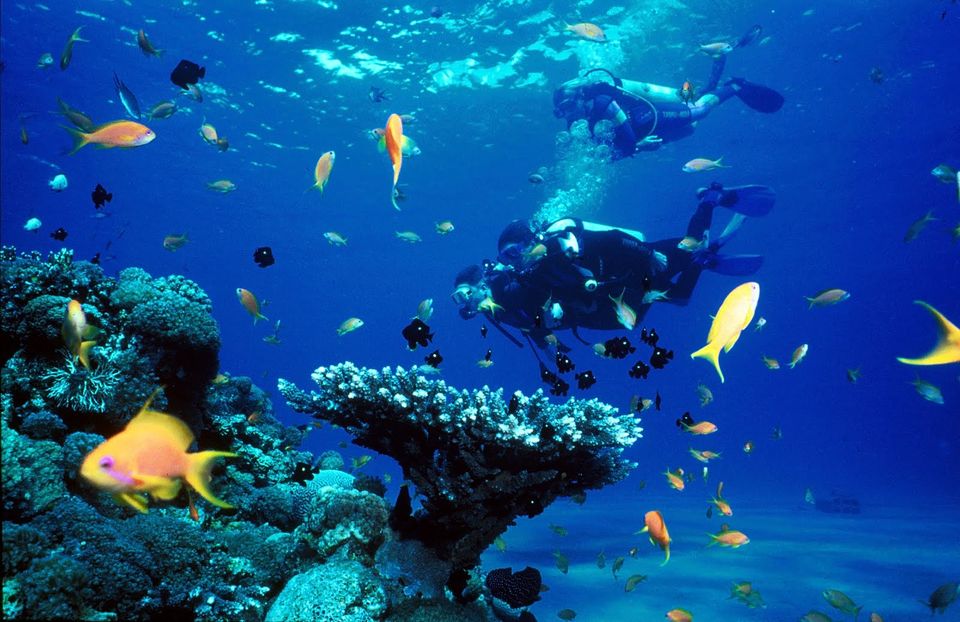 Photo of Israel: From The Red Sea To The Dead Sea 5/7 by Terry Gardner