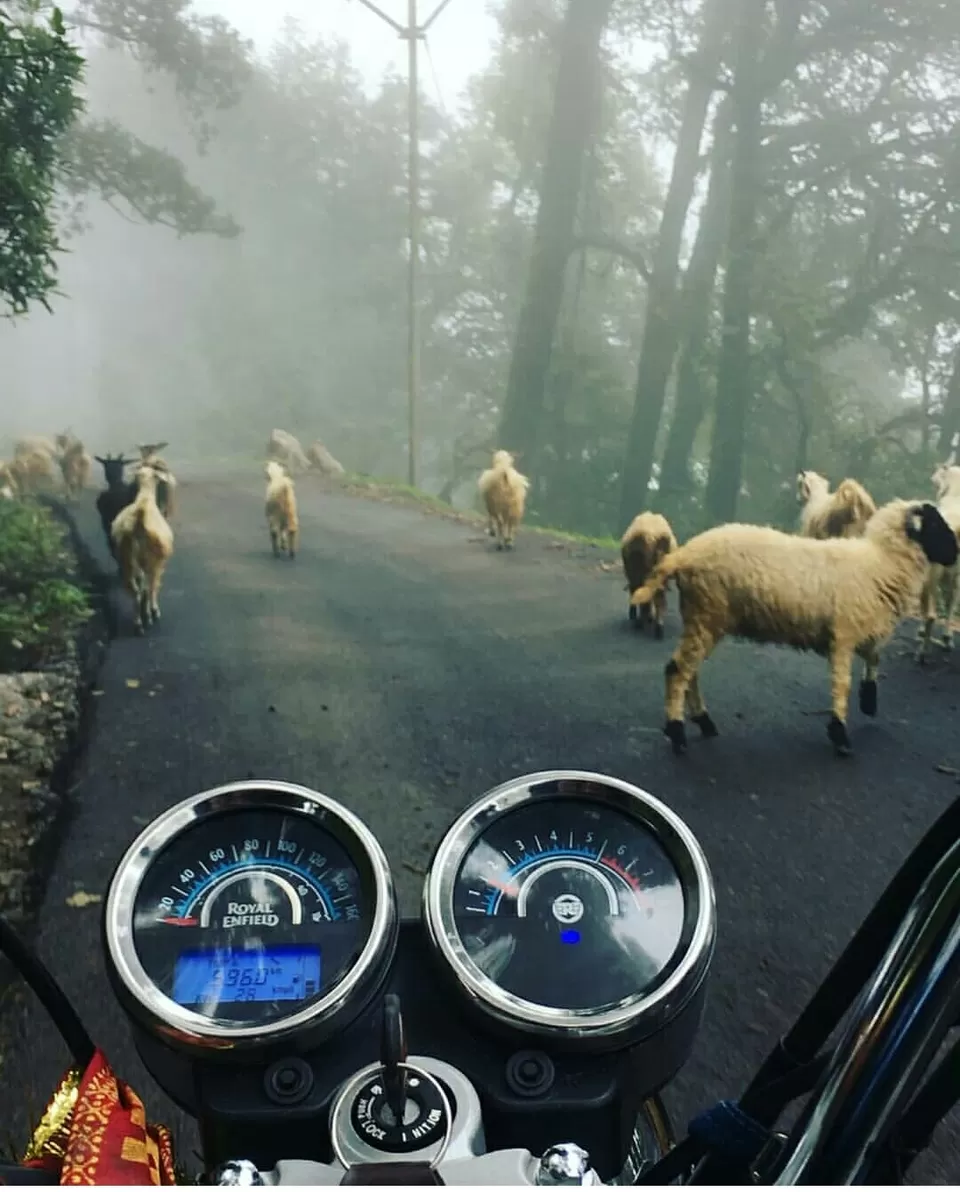 Photo of 2019 का लॉस्ट ट्रिप ,नैनीताल by Er.Father