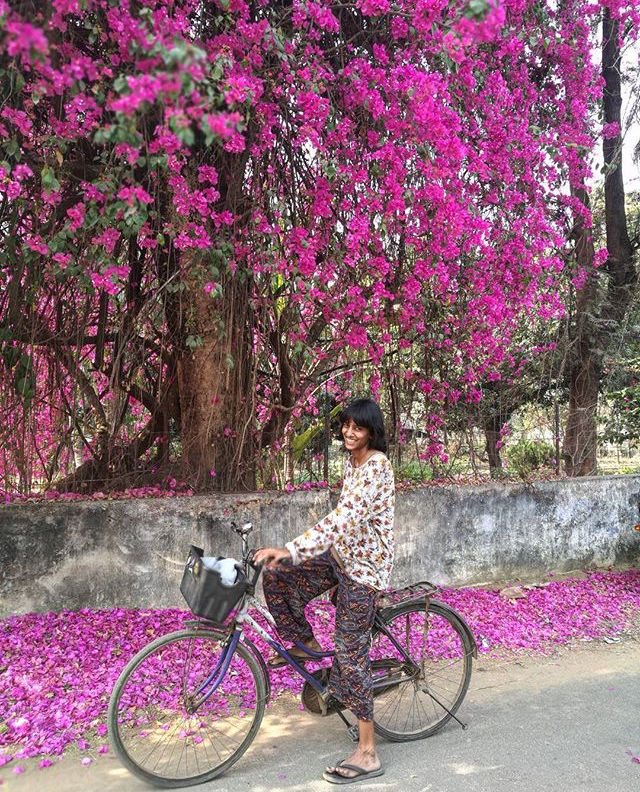 Photo of About Cycles and Ektaras: Travelling through Bolpur 1/1 by Lakshmi KTP