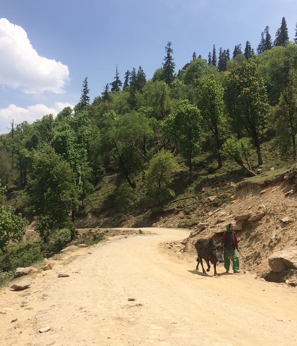 Photo of Kwar, Himachal Pradesh, India by Lakshmi KTP