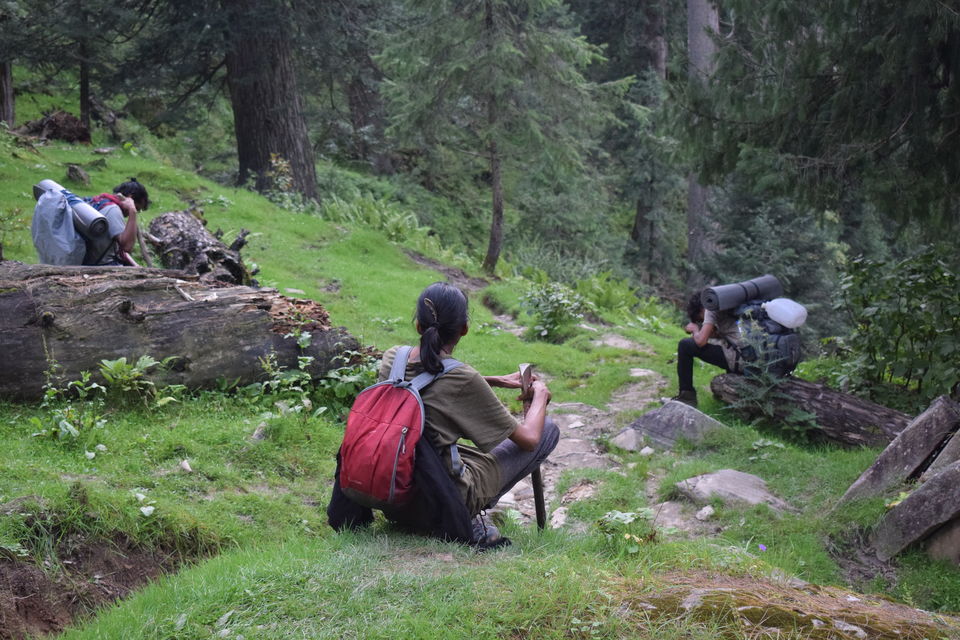 Photo of Tulua, Tulga village, Kullu, Himachal Pradesh, India by Lakshmi KTP