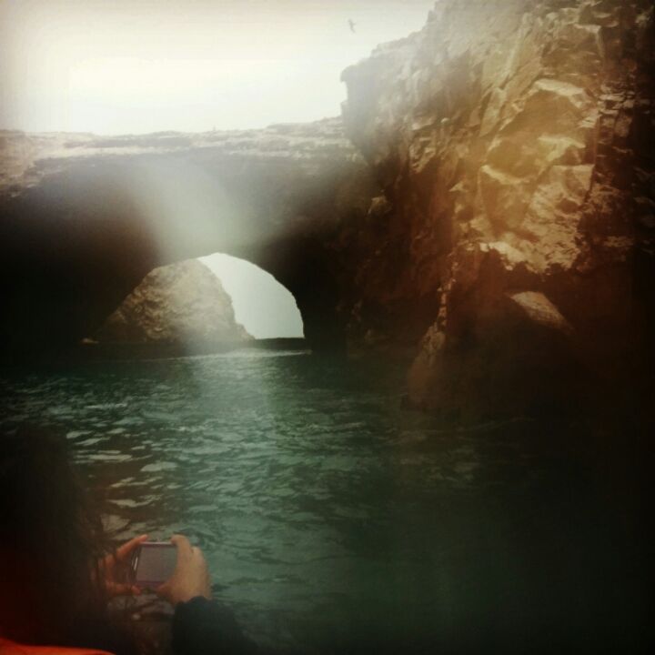 Photo of Athirapalli Falls And Vazhachal Falls by Novita Arora