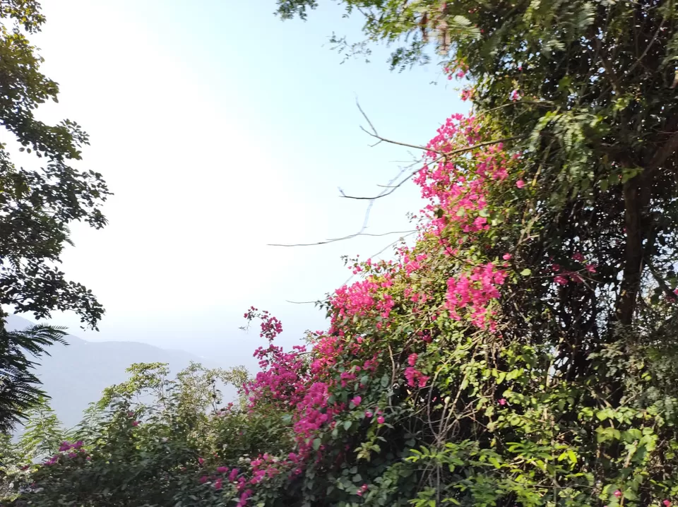 Photo of A Small Trip to Kaliyug Vaikunth by Megha Agarwal