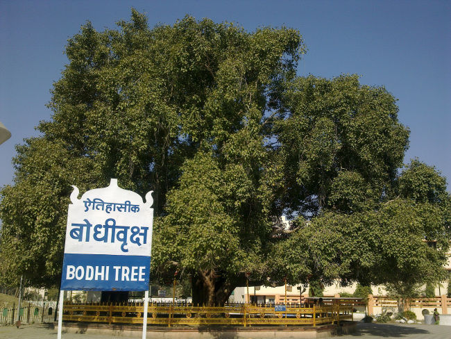 Photo of Bodh Gaya - Doorway to Heaven 1/6 by Deepika Gumaste