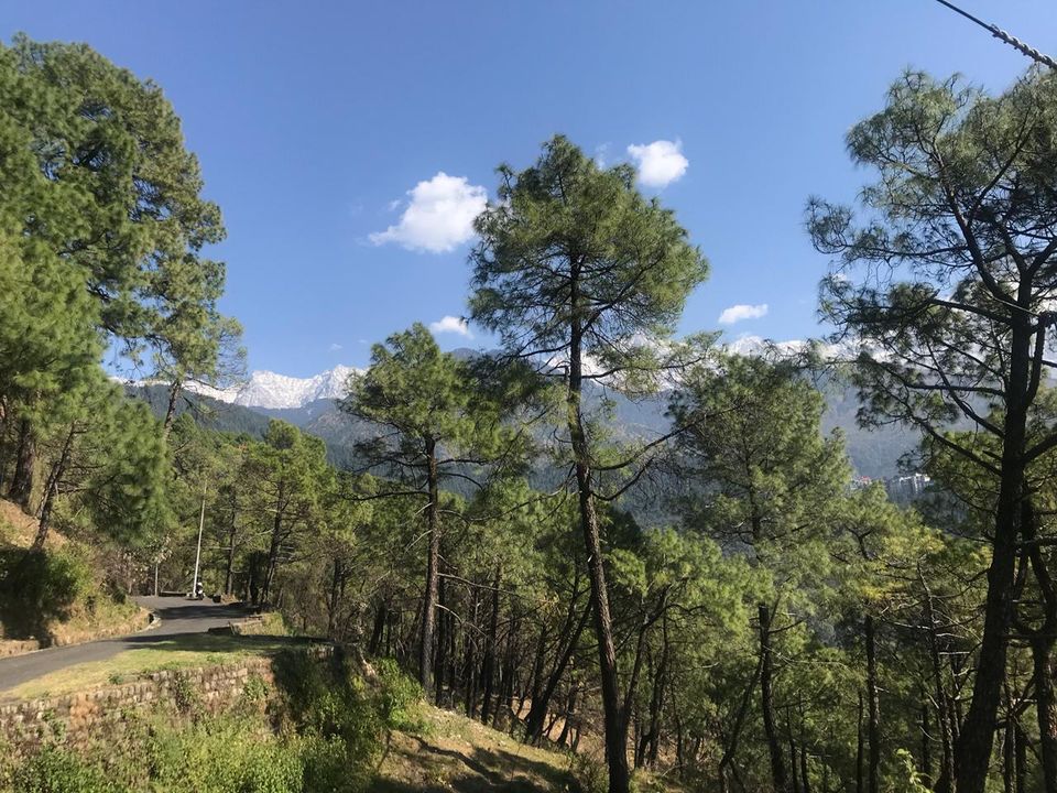 Photo of A GLIMPSE OF McLEODGANJ (McLLO) by baishali tamuly