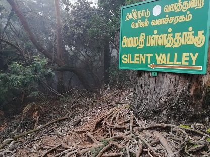 Photo of Kodaikanal, Tamil Nadu, India by Nabarun Nandy