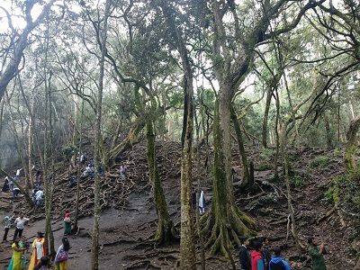 Photo of Unbelievable hill station in South India! by Nabarun Nandy