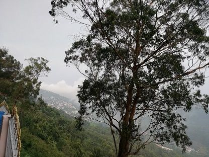 Photo of Unbelievable hill station in South India! by Nabarun Nandy