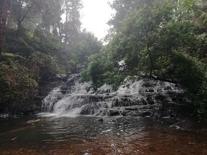 Photo of Vattakanal, Kodaikanal, Tamil Nadu, India by Nabarun Nandy