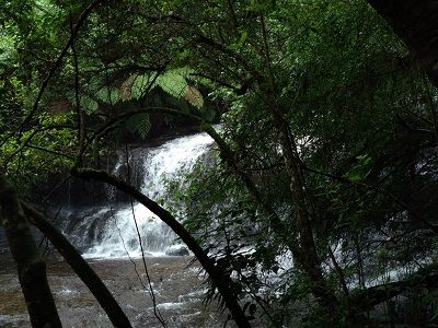Photo of Vattakanal, Kodaikanal, Tamil Nadu, India by Nabarun Nandy