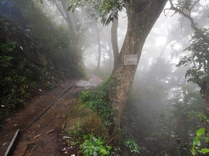 Photo of Unbelievable hill station in South India! by Nabarun Nandy