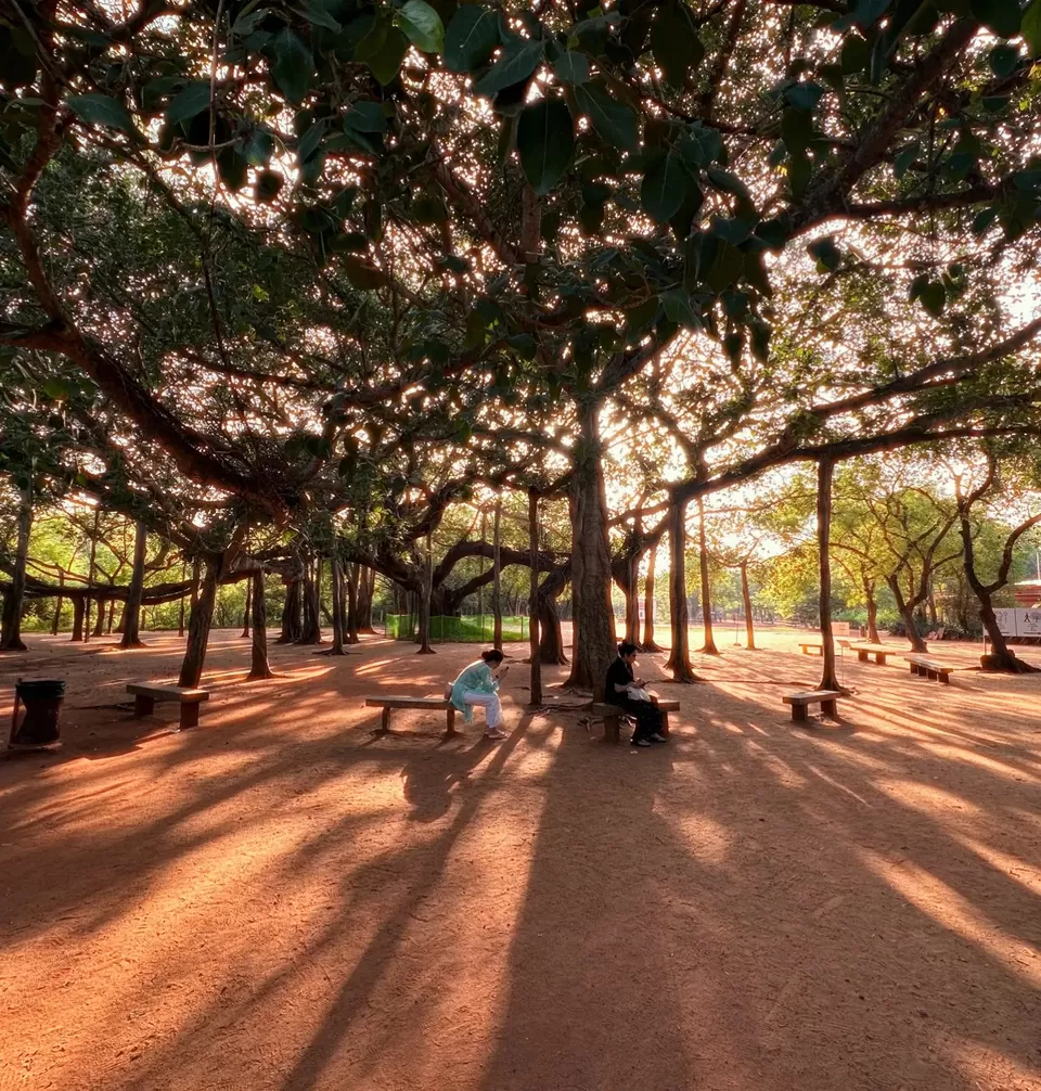 Photo of Travelling is the most liberating thing one can ever do by Daisy Bhattacharjee
