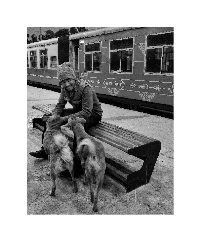Photo of "Shimla- solo and so Happy" my first Solo Trip #lockdown by sumit khoche