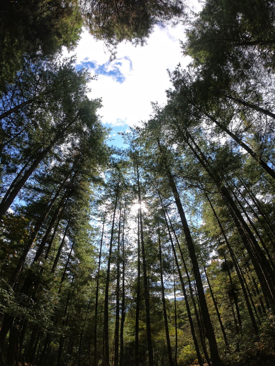 Photo of How an unexpected trip to Bhutan left me with wanting more 2/11 by Shankhamala Datta