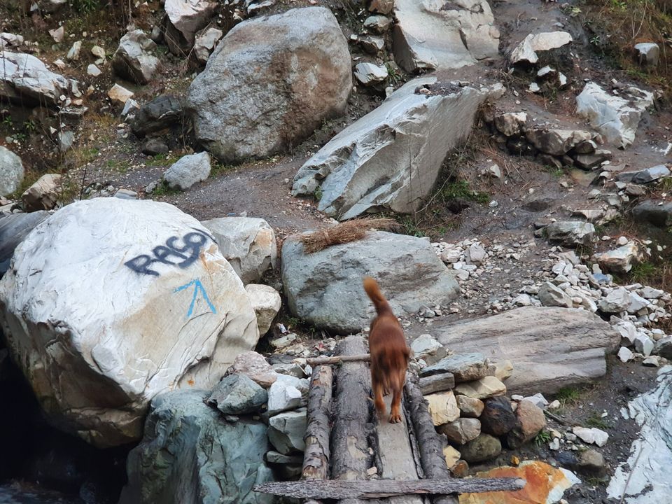 Photo of Kasol by Raj Purkayastha