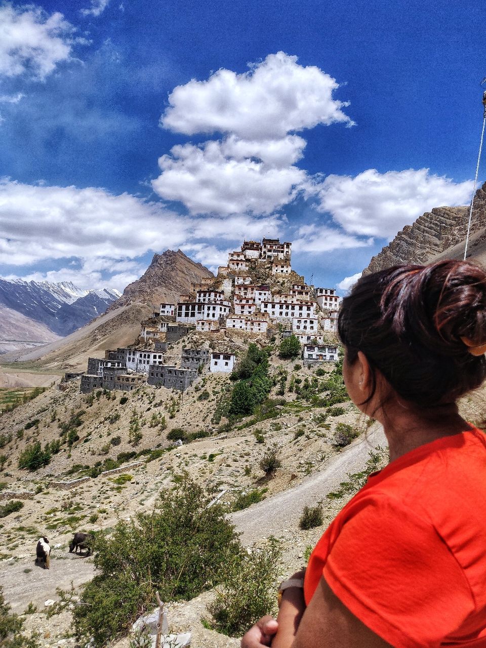 Photo of 7 Days Spiti Valley Itinerary : My Journey to Spiti Valley. by Resh Pooran