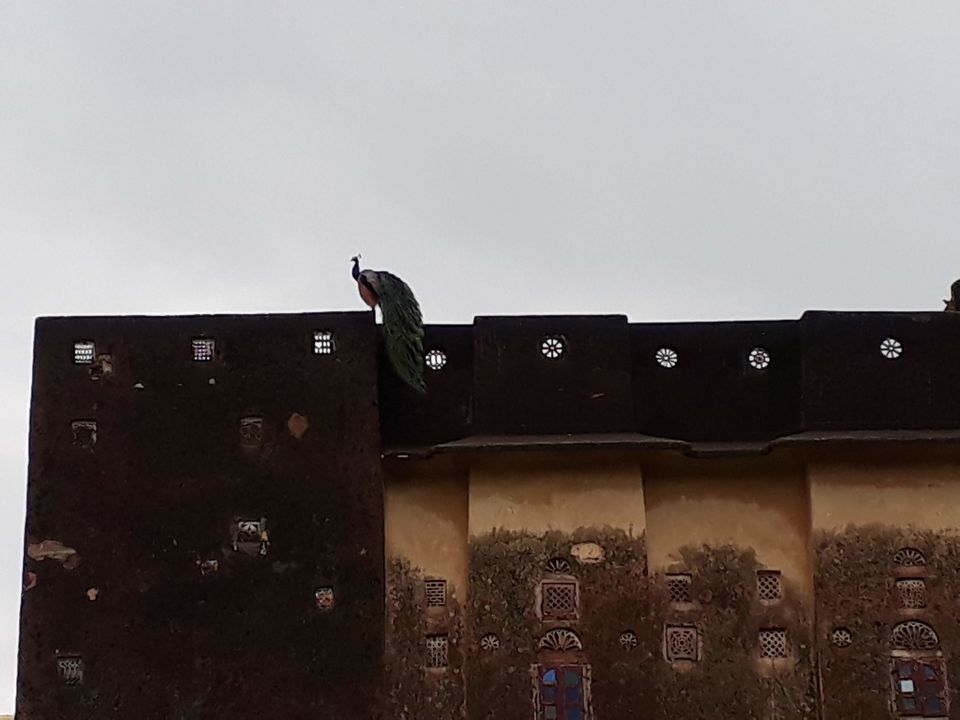 Photo of ELEVEN UNIQUE REASONS TO VISIT RAJASTHAN 2/9 by Mayuresh Wagle