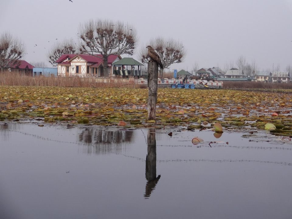 Photo of KASHMIR IN WINTER - HEAVEN AND HELL ON EARTH. 6/10 by Mayuresh Wagle