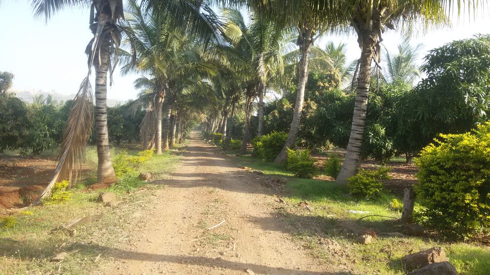 Photo of WHY RESORT TO RESORTS WHEN YOU CAN RESORT TO A FARMSTAY? 4/21 by Mayuresh Wagle