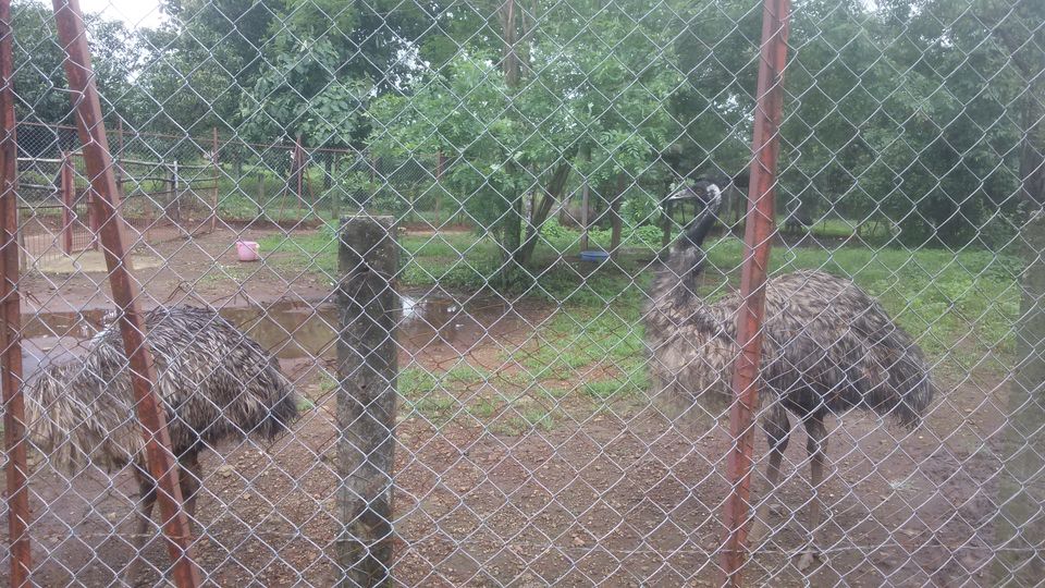 Photo of WHY RESORT TO RESORTS WHEN YOU CAN RESORT TO A FARMSTAY? 16/21 by Mayuresh Wagle
