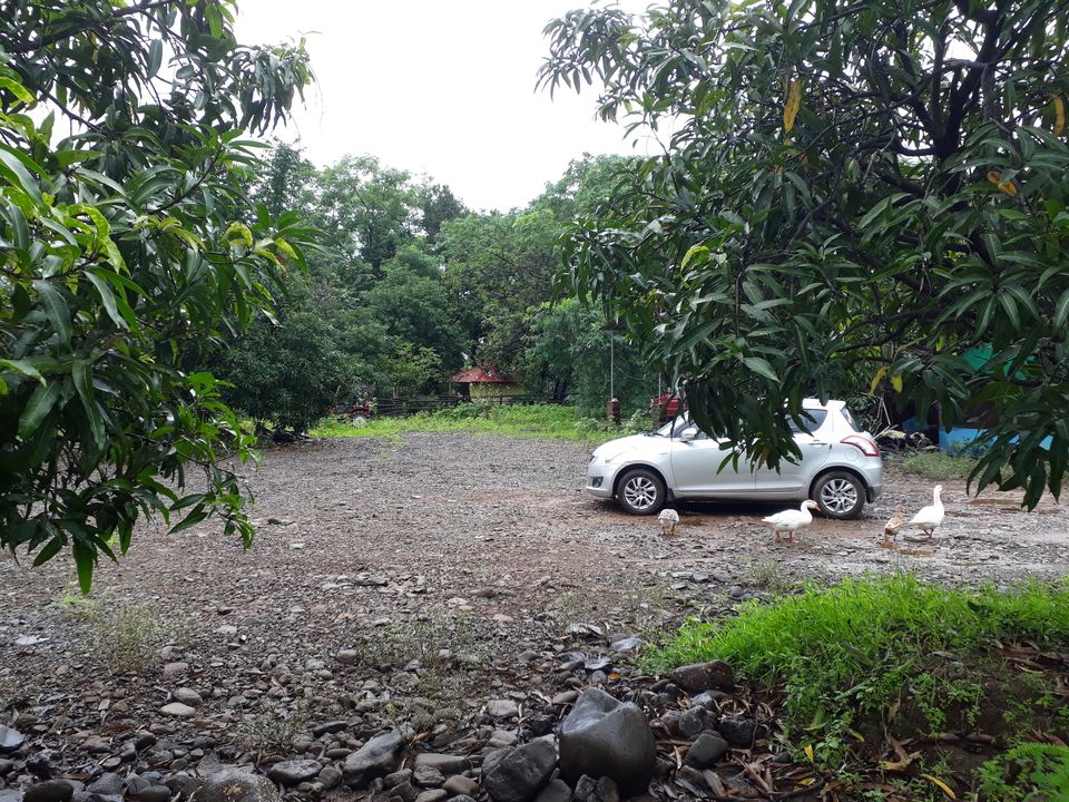 Photo of WHY RESORT TO RESORTS WHEN YOU CAN RESORT TO A FARMSTAY? 18/21 by Mayuresh Wagle