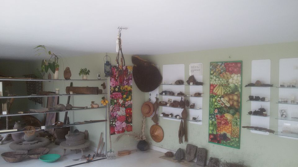 Photo of WHY RESORT TO RESORTS WHEN YOU CAN RESORT TO A FARMSTAY? 6/21 by Mayuresh Wagle