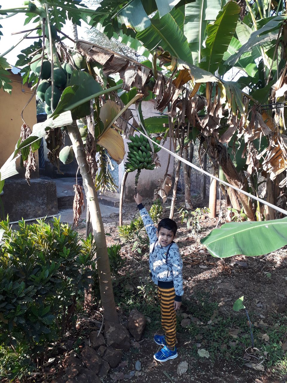Photo of WHY RESORT TO RESORTS WHEN YOU CAN RESORT TO A FARMSTAY? 21/21 by Mayuresh Wagle
