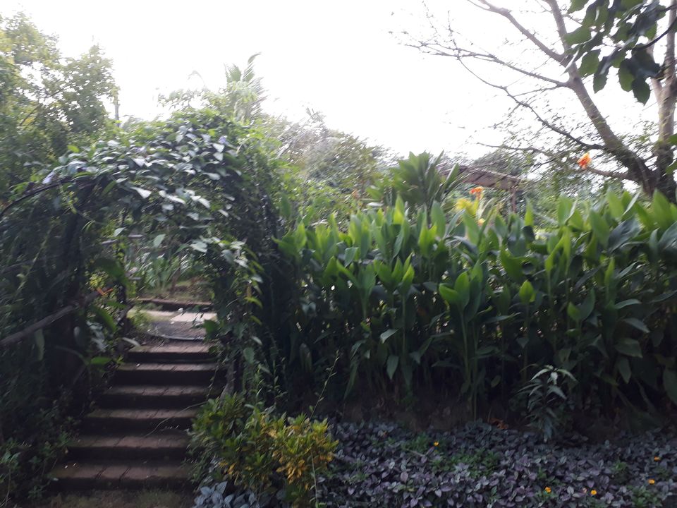 Photo of WHY RESORT TO RESORTS WHEN YOU CAN RESORT TO A FARMSTAY? 14/21 by Mayuresh Wagle