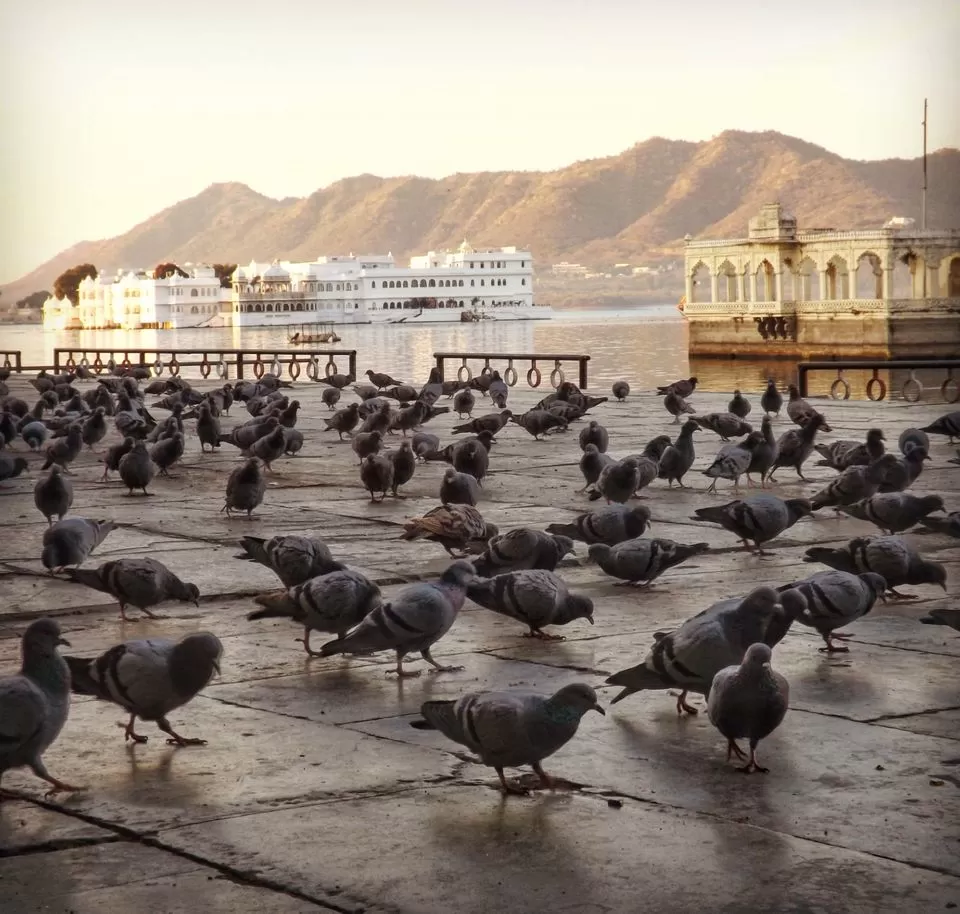 Photo of bagore ki haveli, Gangaur Ghat Marg, Hotel Gangaur Palace, Silawatwari, Udaipur, Rajasthan, India by Dream Catchers