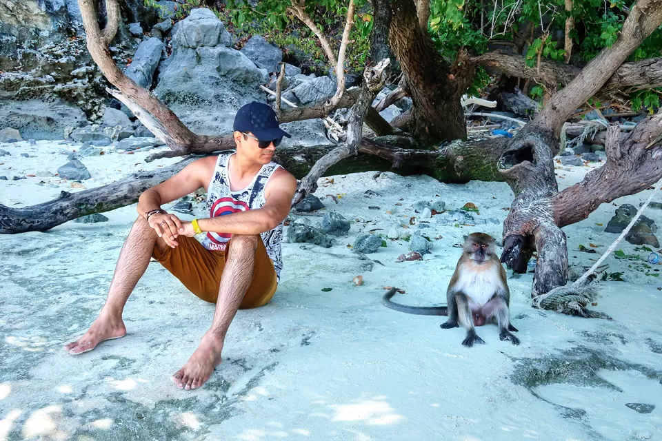 Photo of Phi Phi Islands, Krabi, Thailand by Dream Catchers