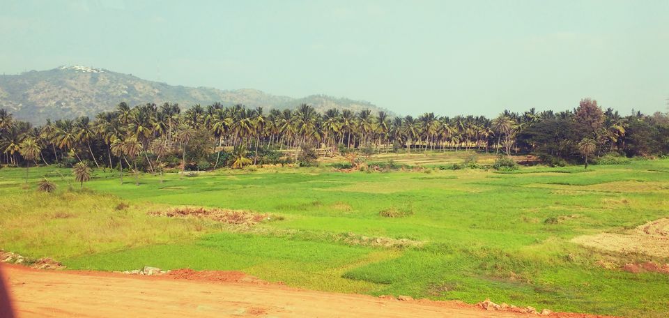 Photo of WAYANAD, Kerala: Hill station of God's own country #notinnorth 3/4 by Dream Catchers