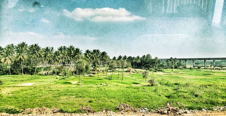 Photo of WAYANAD, Kerala: Hill station of God's own country #notinnorth 2/4 by Dream Catchers
