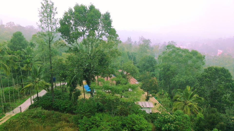 Photo of Kuruvadweep, Kerala by Dream Catchers