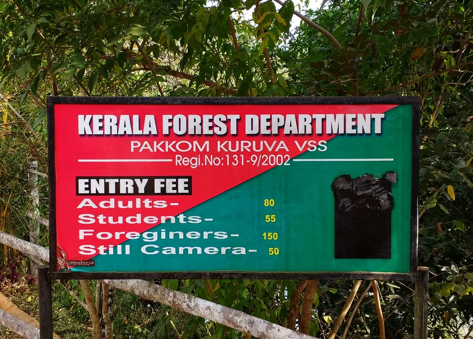 Photo of Kuruva Island Road, Kerala, India by Dream Catchers