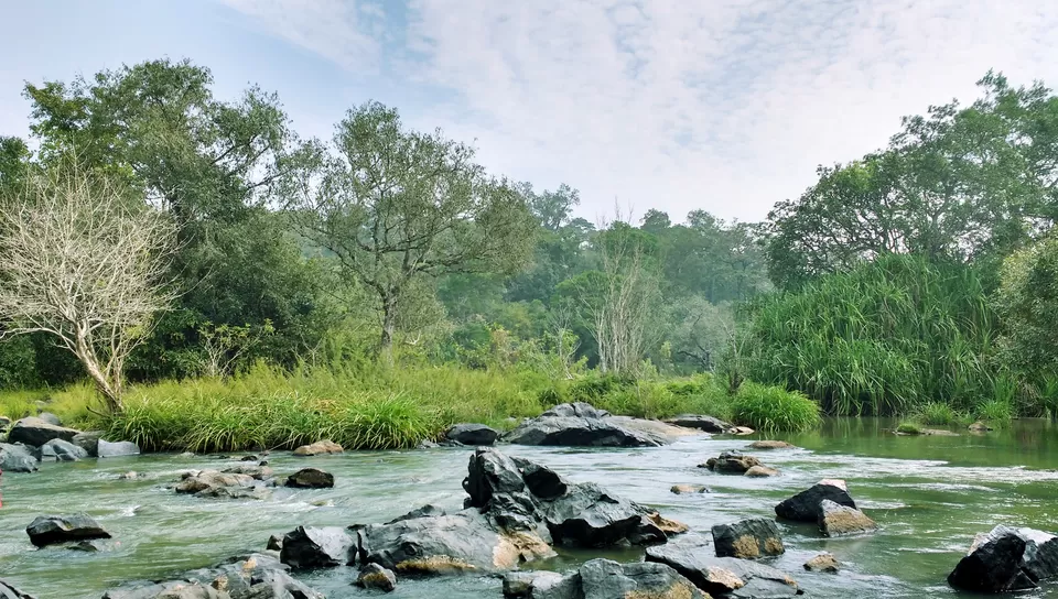 Photo of Kuruva Island Road, Kerala, India by Dream Catchers