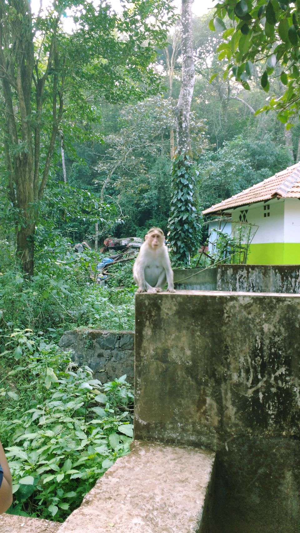 Photo of Vythiri, Kerala, India by Dream Catchers