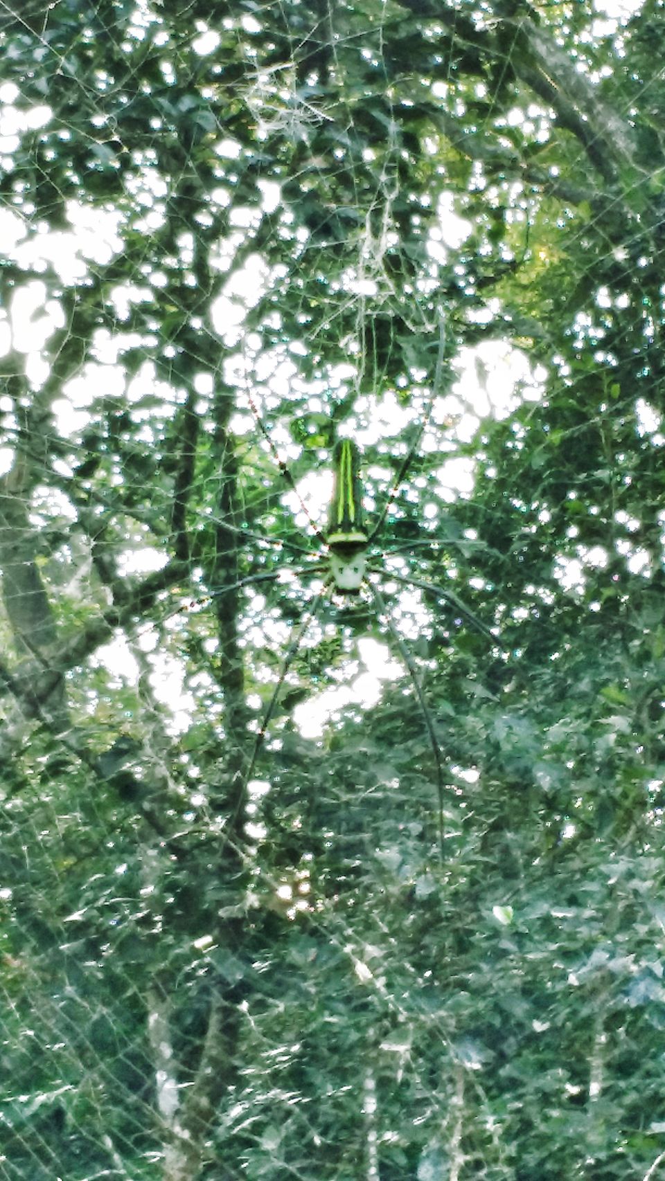 Photo of Pookode Lake, Pookode, Kerala by Dream Catchers