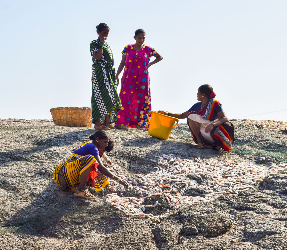 Photo of Anjarle Beach, Maharashtra by Prajakta Jadhav (Reflectionsbyprajakta)
