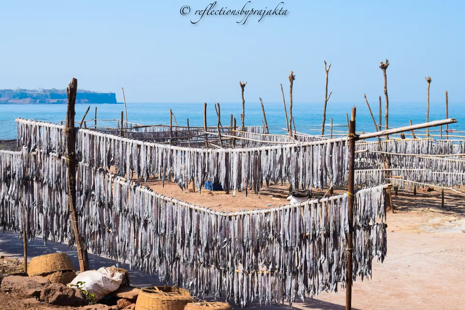 Photo of Harnai, Maharashtra, India by Prajakta Jadhav (Reflectionsbyprajakta)