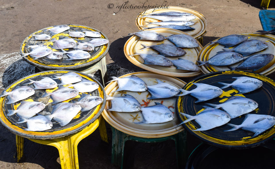 Photo of Harnai Fish Market, Harnai, Maharashtra, India by Prajakta Jadhav (Reflectionsbyprajakta)