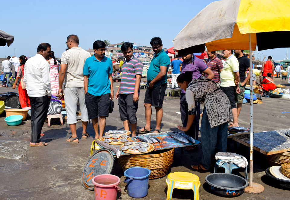 Photo of Harnai Fish Market, Harnai, Maharashtra, India by Prajakta Jadhav (Reflectionsbyprajakta)