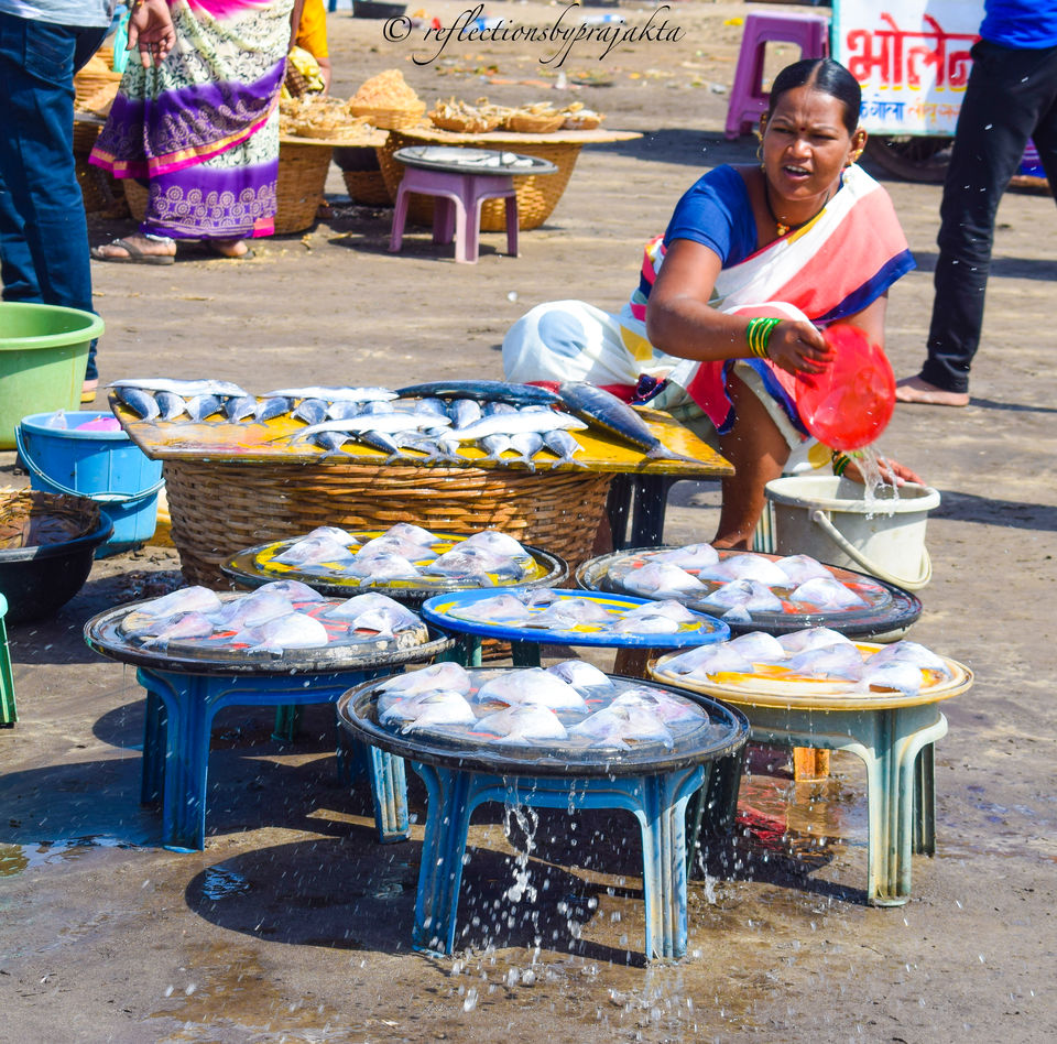 Photo of Harnai Fish Market, Harnai, Maharashtra, India by Prajakta Jadhav (Reflectionsbyprajakta)