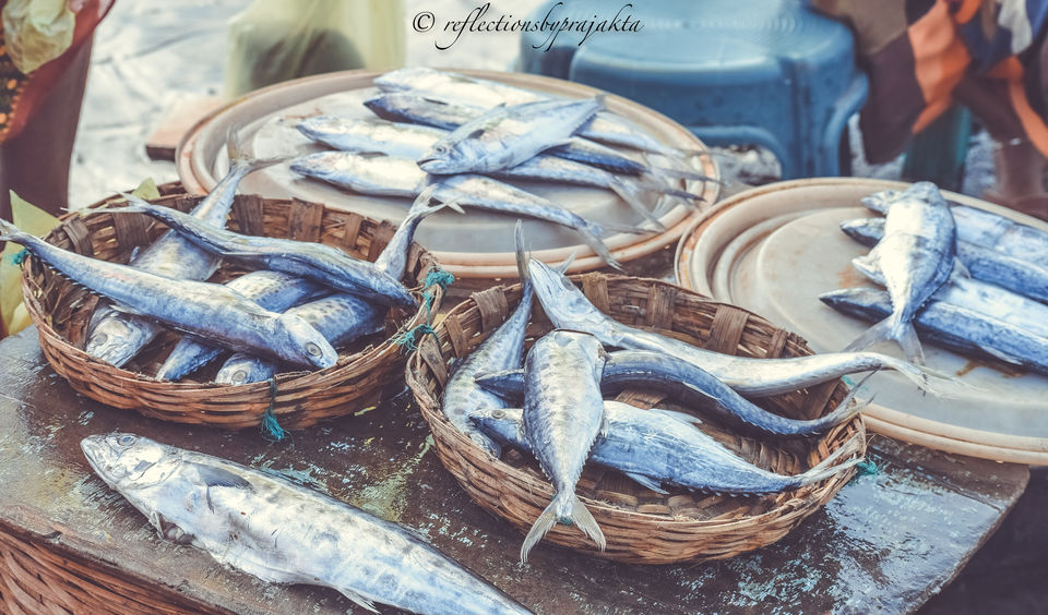Photo of Harnai Fish Market, Harnai, Maharashtra, India by Prajakta Jadhav (Reflectionsbyprajakta)