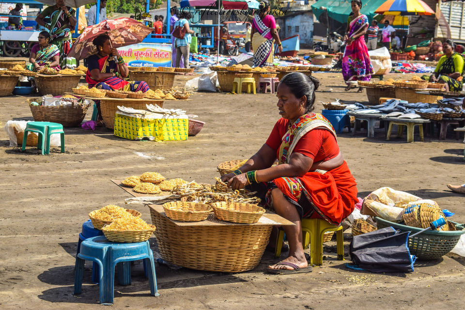Photo of Harnai Fish Market, Harnai, Maharashtra, India by Prajakta Jadhav (Reflectionsbyprajakta)