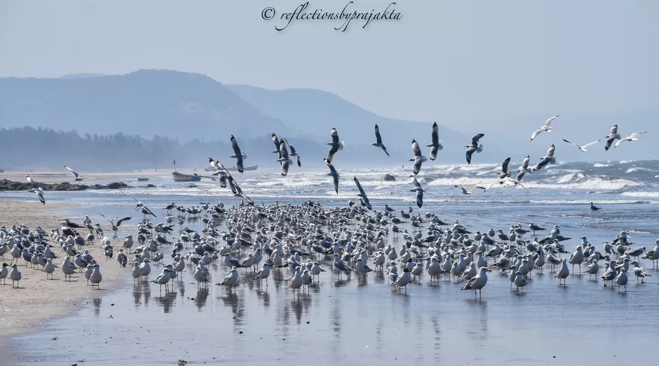 Photo of Harnai Beach, Maharashtra by Prajakta Jadhav (Reflectionsbyprajakta)