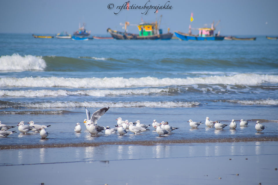 Photo of Harnai Beach, Maharashtra by Prajakta Jadhav (Reflectionsbyprajakta)