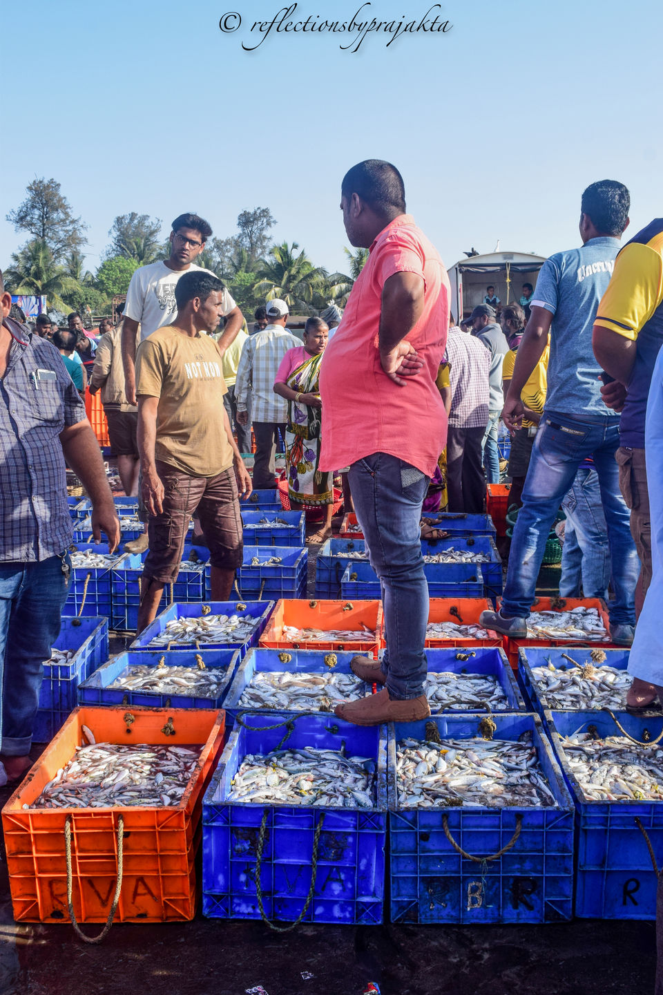 Photo of Harnai Fish Market, Harnai, Maharashtra, India by Prajakta Jadhav (Reflectionsbyprajakta)