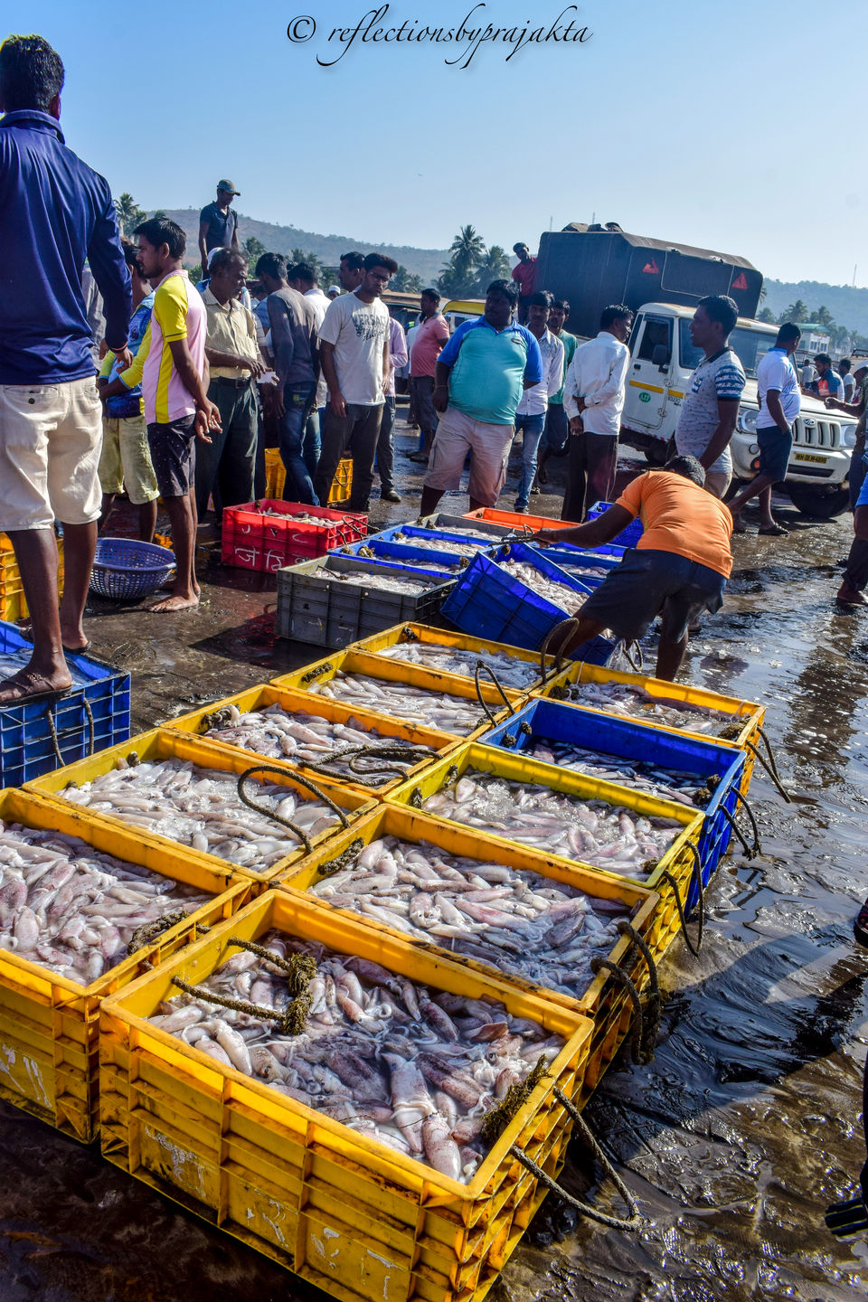 Photo of Harnai Fish Market, Harnai, Maharashtra, India by Prajakta Jadhav (Reflectionsbyprajakta)